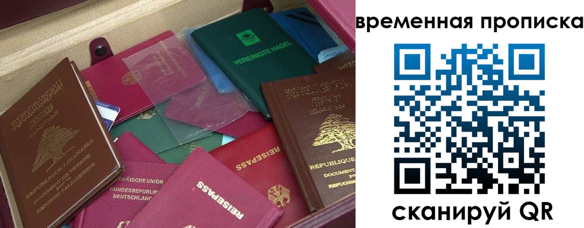 прописка в Сочи